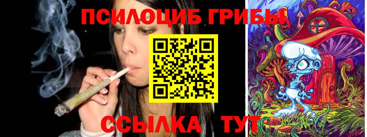 Галлюциногенные грибы прущие грибы  Вход с VPN  Красноперекопск 